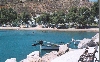 thumb_21_milos pl.jpg 